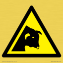 w034-warning-bull~